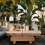 Bed & Breakfast Emesh Boutique